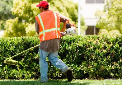 guy landscaping in edmonton