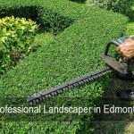 Landscape maintenance is important even in winter